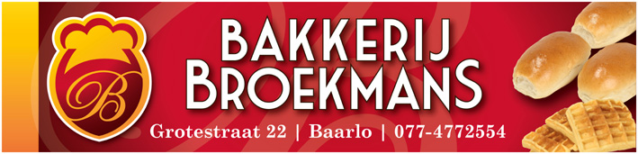 Broekmans logo 260x60