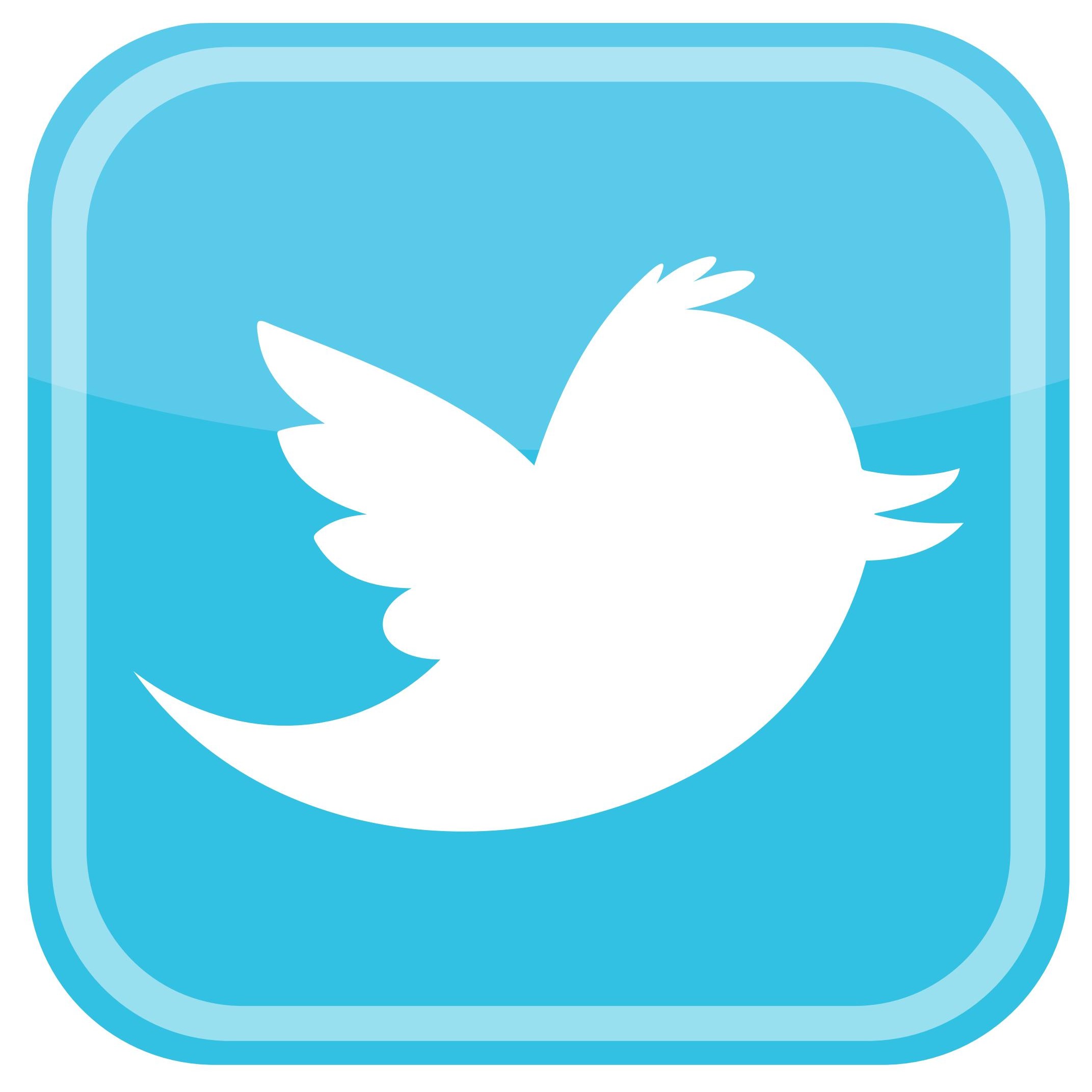 twitter bird icon